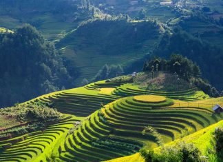 Tour Sapa của Du Lịch Việt có gì mà hot đến thế?