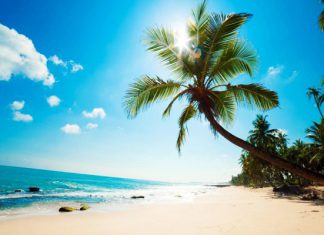 Đi tour du lịch Hòn Mun tự túc 1 ngày nên chuẩn bị những gì? Đi tour du lịch Hòn Mun tự túc 1 ngày nên chuẩn bị những gì?