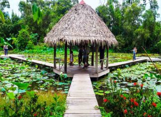 Kinh nghiệm khám phá khu sinh thái Xẻo Quýt – Đồng Tháp nổi tiếng Kinh nghiệm khám phá khu sinh thái Xẻo Quýt - Đồng Tháp nổi tiếng