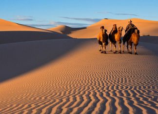 Hành trình khám phá sa mạc Gobi Mông Cổ – sa mạc lớn nhất tại châu Á Hành trình khám phá sa mạc Gobi Mông Cổ - sa mạc lớn nhất tại châu Á