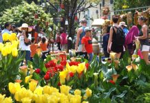 Gợi ý điểm đến “đỉnh” nhất cho kỳ nghỉ Tết Âm lịch 2026 Du lịch Tết